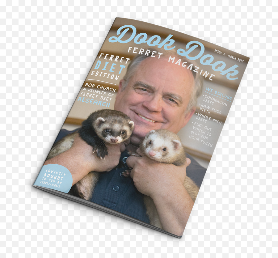 Ferret Magazine Subscription And Membership Details - Sea Otter Png,Ferret Png
