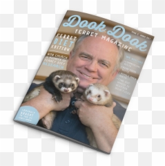 Ferret Magazine Subscription And Membership Details - Sea Otter Png,Ferret Png