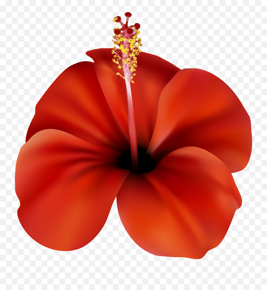Download Free Png Red Flower Clip Art - Best Web Clipart,Flowers Clipart Transparent