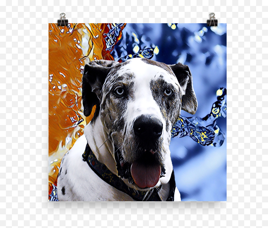 Download Hd Great Dane Poster Transparent Png Image - Great Dane,Great Dane Png