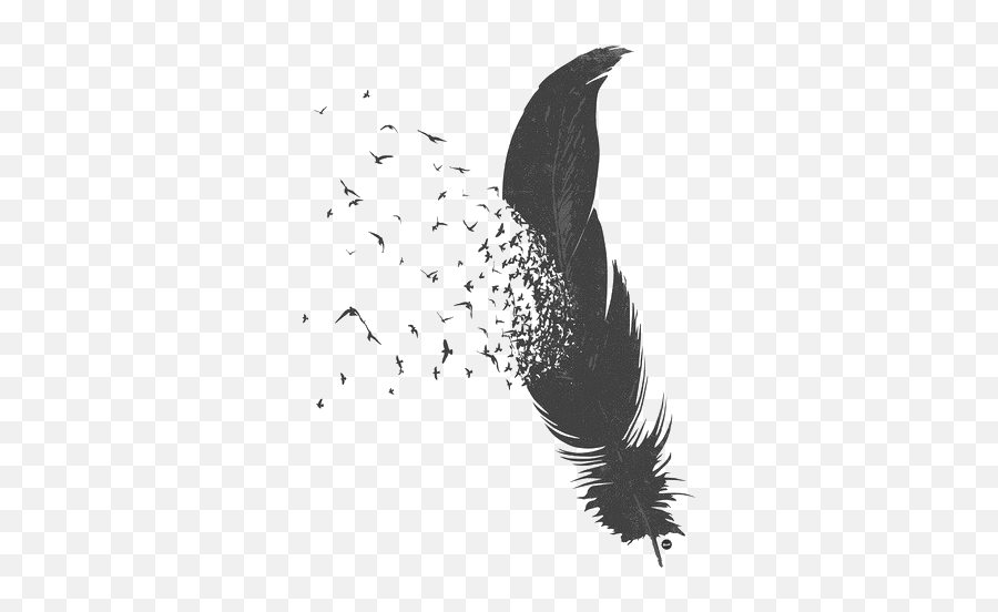 Tumblr Feather Png 3 Image - Black Feather Png,Black Feather Png
