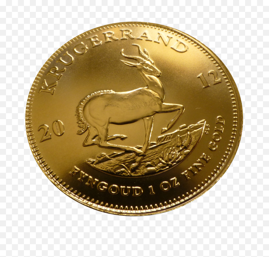 Gold Coins Kangaroo Kangaroos - Gold Coin Png,Gold Coins Png