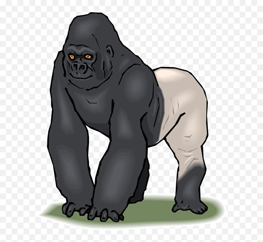 Pix Resolution - Silverback Gorilla Clipart Png,Gorilla Png