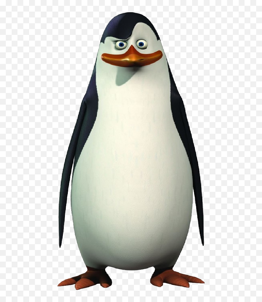 Madagascar Penguins Png Transparent - Penguin Meme Png,Penguin Transparent
