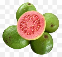 Guava Png Image For Free Download - Transparent Guava Png,Guava Png
