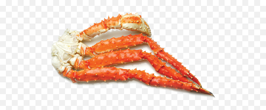 Learn More About King Crab - King Krab Poten Png,Crab Legs Png