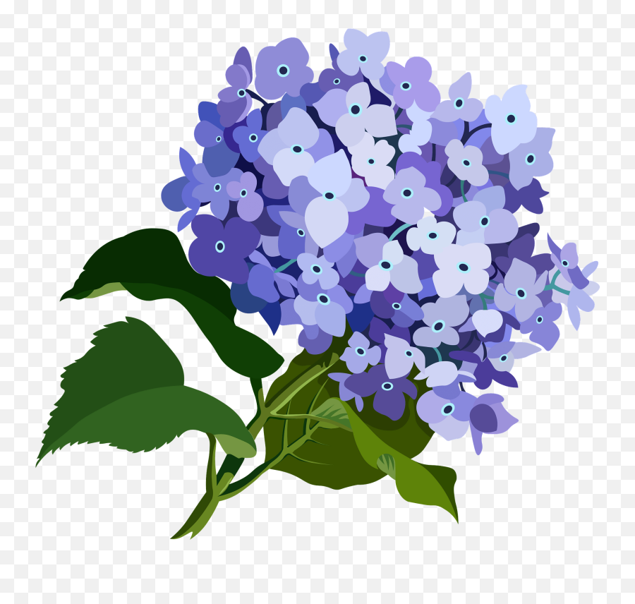 Purple Flower Clipart - Flower Png,Purple Flower Transparent