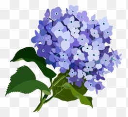 Purple Flower Clipart - png