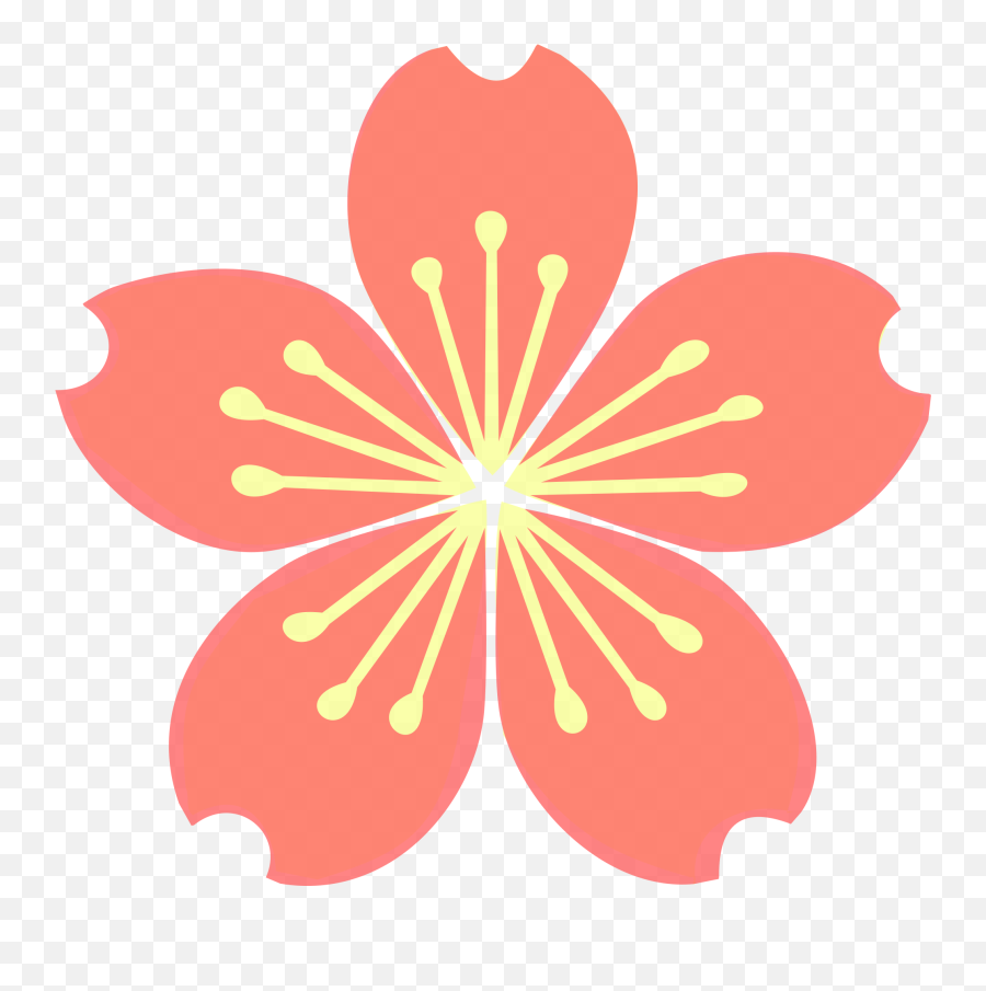 Library Of Flower Blossom Jpg Png Files - Membrana Embreagem Png,Sakura Png