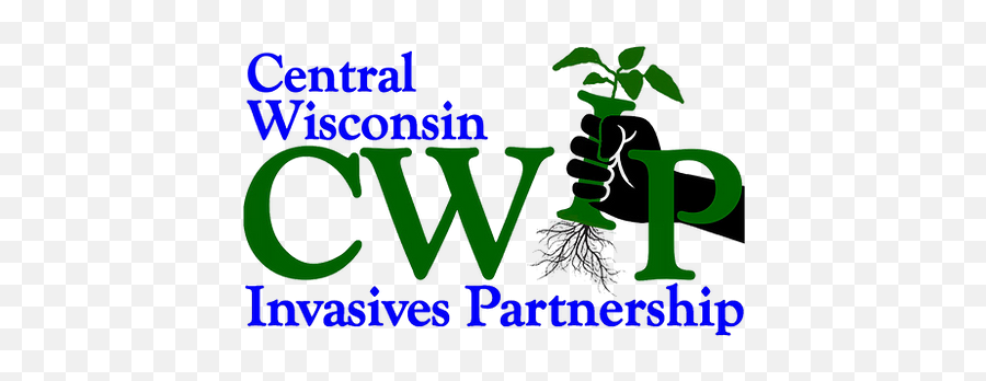 Central Wisconsin Invasives Partnership Invasive Species - Language Png,Invasive Plant Icon