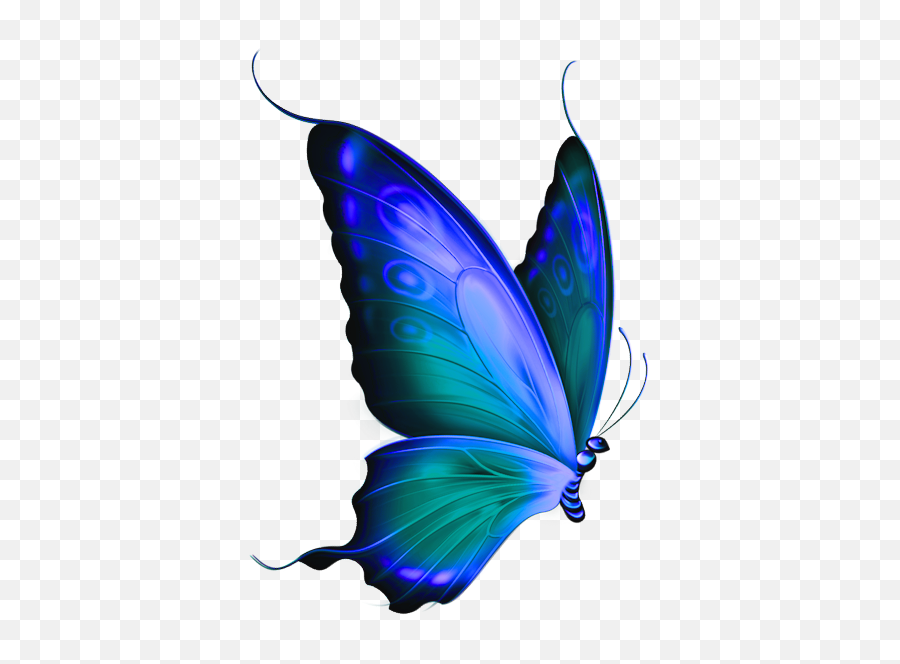 Transparent Blue Butterfly Clipart - Clip Art Bay Transparent Background Blue Butterflies Png,Butterfly Transparent