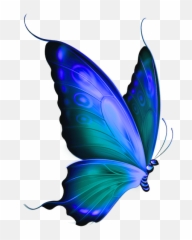 Transparent Blue Butterfly Clipart - Art Bay Background Butterflies png