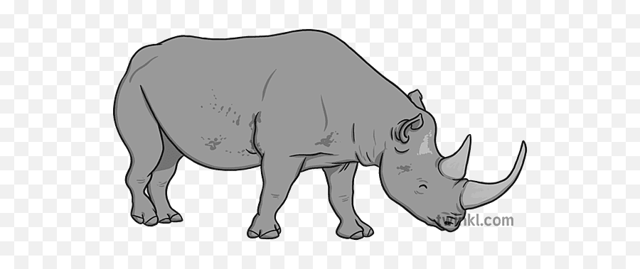 Black Rhino And White Illustration - Twinkl Endangered Species Day 2021 Png,Rhino Icon