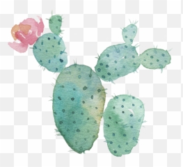 Download Hd Watercolor Cactus Transparent Background - Clipart png