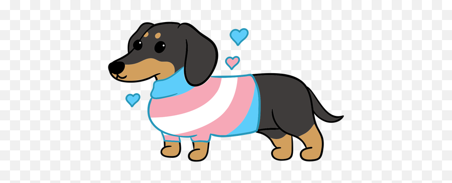 Trans Graphics To Download - Dog Supply Png,Transgender Flag Icon