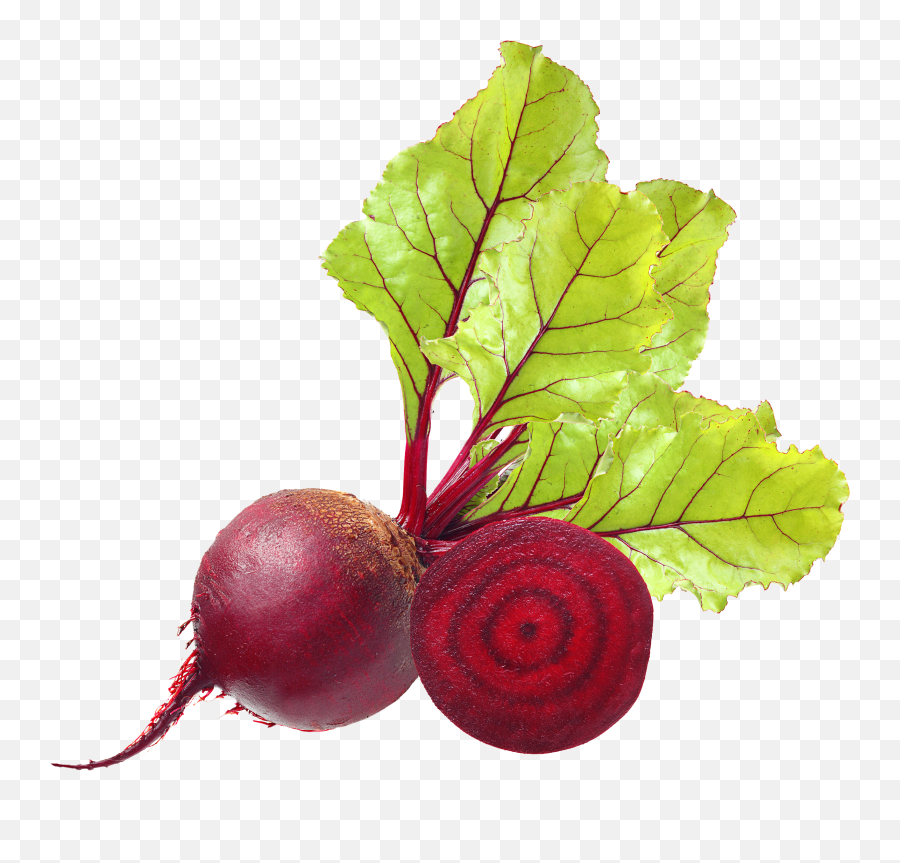 Download Beet Png Image For Free - Beetroot Png,Carrot Transparent Background