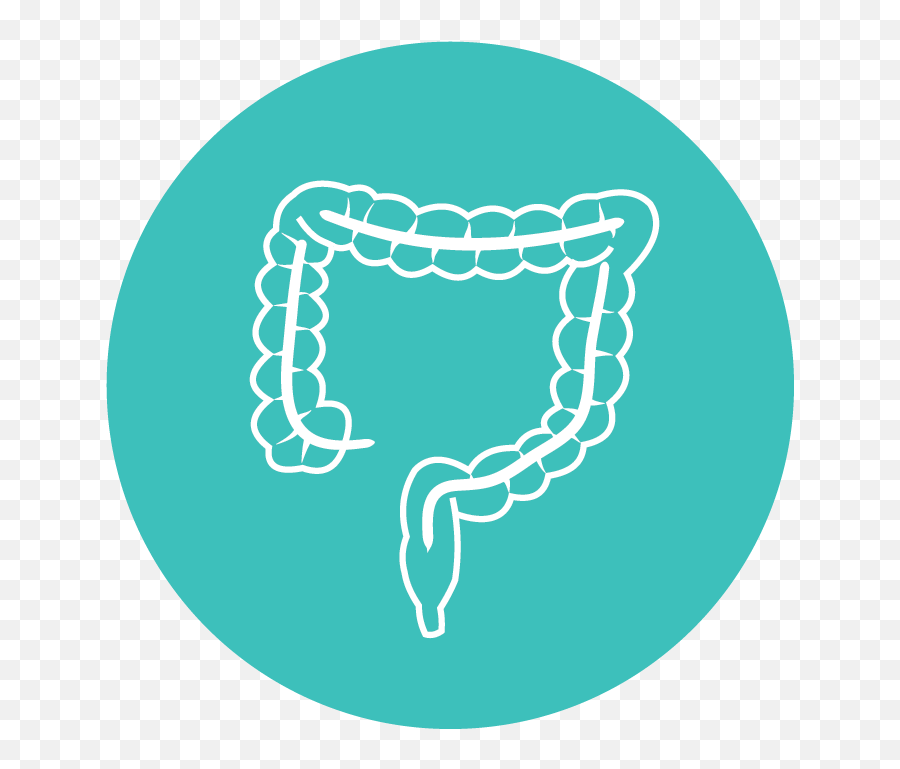 About Colon Hydrotherapy - The Colonic Clinic Colon Language Png,Colon Icon