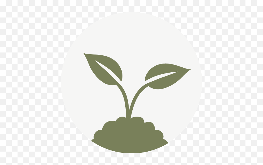 Airmoss - Growing Plant Icon Png,Moisture Icon