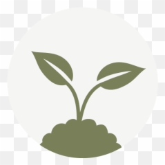 Airmoss - Growing Plant Icon Png