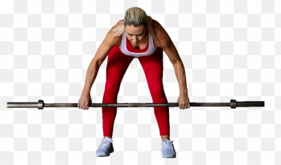 Female Pendlay Row - Rapid Loss Program Female Stiff Legged Deadlift Muscles Worked png