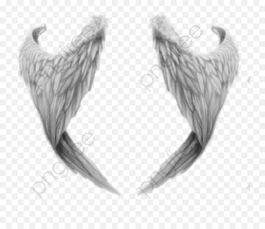 Airplane Wings Clipart Png Angel Transparent Background
