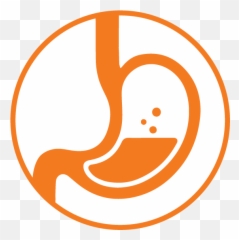 Pemf Therapy - Lifestyle Fitness Stomach Silhouette png