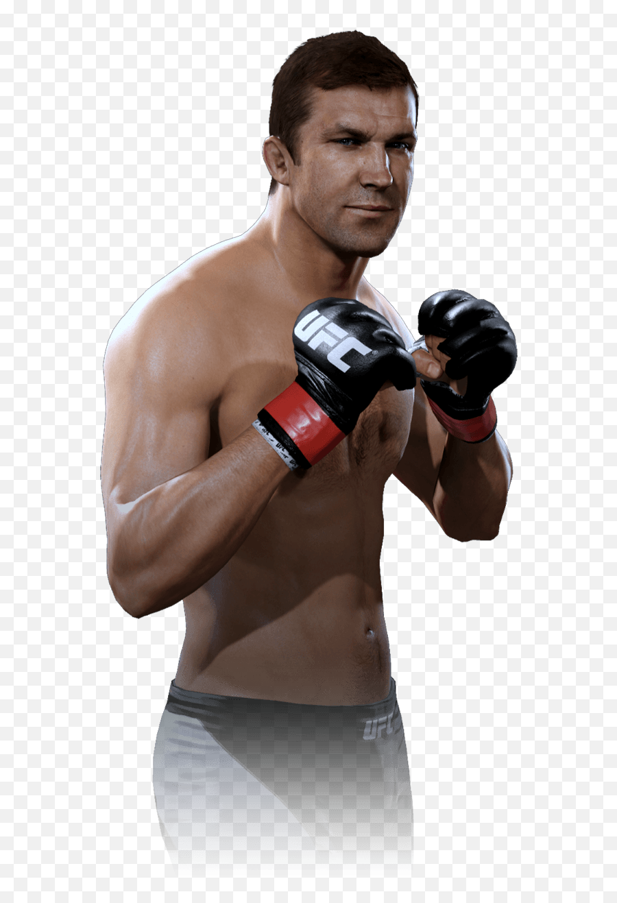 Ufc Png - Ufc 3 Fighter Png,Ufc Png