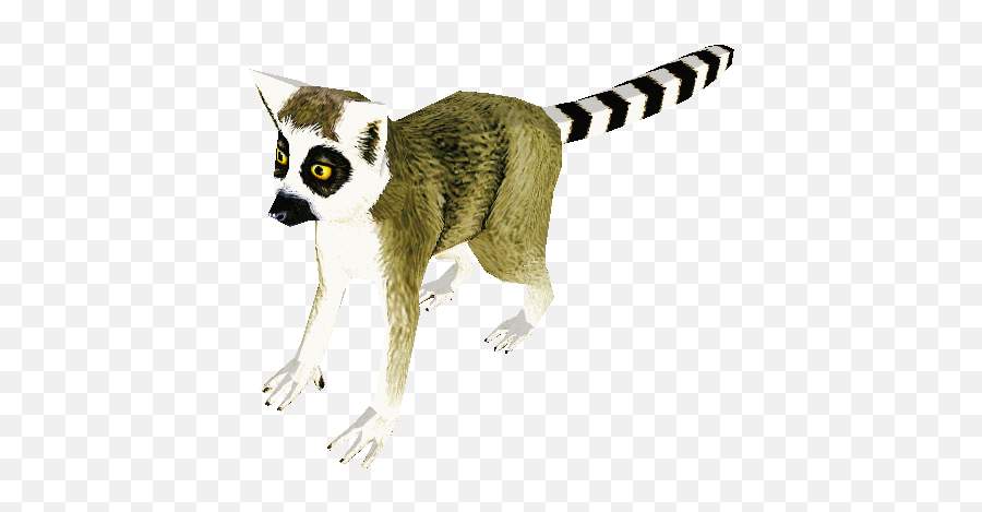 Pc Computer - Zoo Tycoon 2 Ring Tailed Lemur Adult The Madagascar Cat Png,Lemur Png