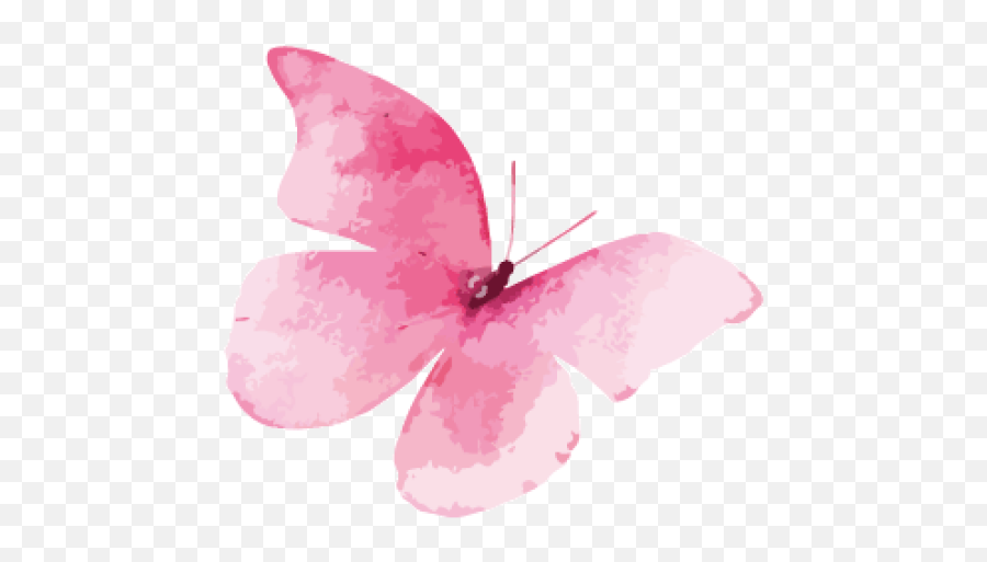 Cropped - Pink Watercolor Butterfly Png,Mariposa Png