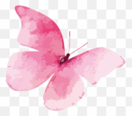 Cropped - Pink Watercolor Butterfly Png,Mariposa Png