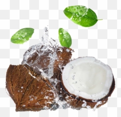 Coconut Water Splash Png Image Arts - Png