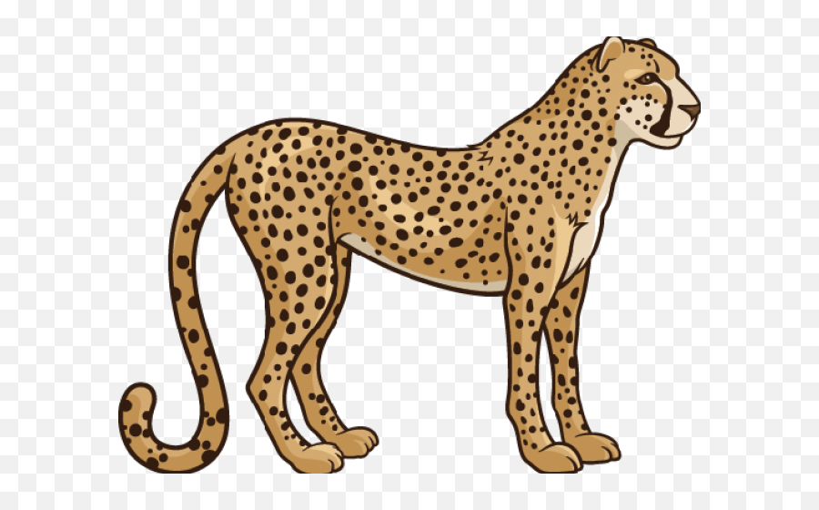 Transparent Background Cheetah Clipart - Cheetah Vectorstock Png,Chester Cheetah Png