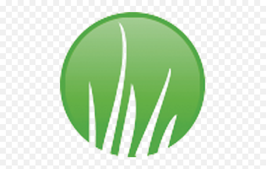 I Know That Artificial Grass Looks And Feels Like Real - Circle Png,Long Grass Png