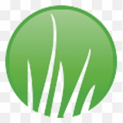 I Know That Artificial Grass Looks And Feels Like Real - Circle png