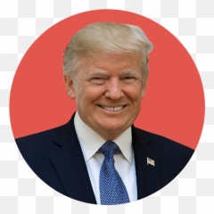 Politiq - Memes Donald Trump 2020 Png,Joe Biden Png