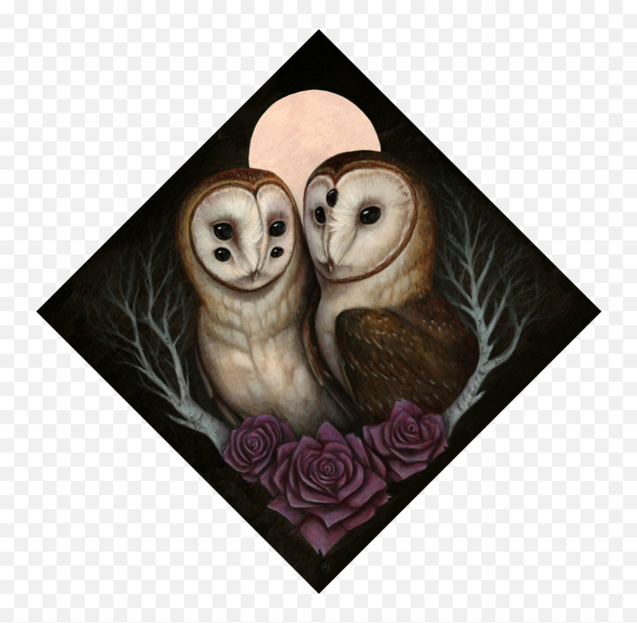 Barn Owl Couple Prints Skullgarden - Barn Owl Png,Barn Owl Png