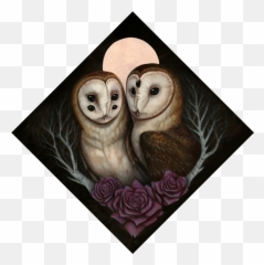 Barn Owl Couple Prints Skullgarden - Barn Owl Png,Barn Owl Png