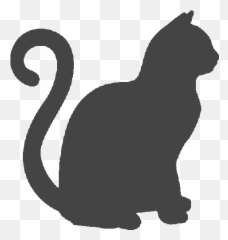 Download Black Cat Silhouette Png - Olympic National Park,Cat Silhouette Png