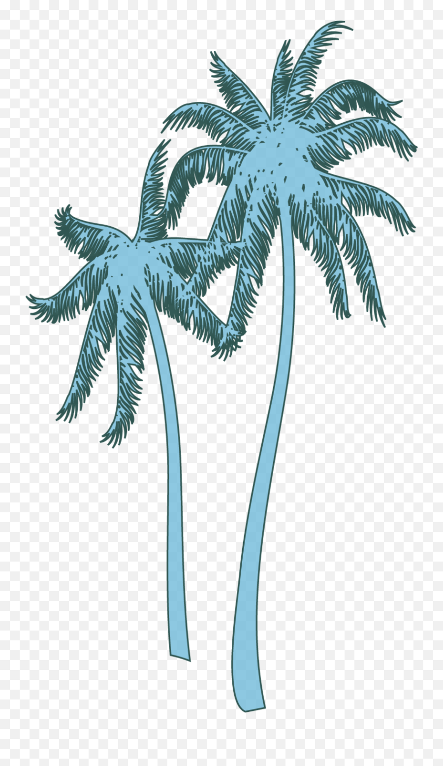 Download Coconut Tree Png Image With No - Roystonea,Coconut Tree Png