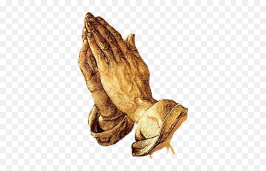 Davinci Praying Hands - Durer Praying Hands Png,Jesus Hands Png