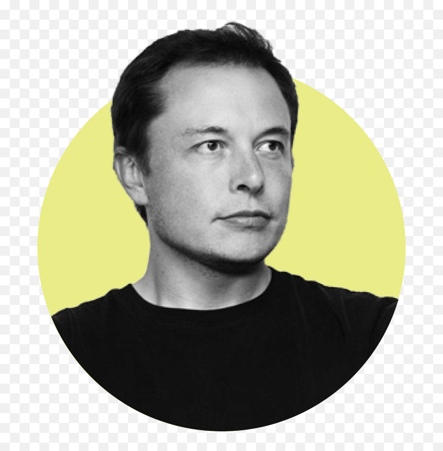 The - Elon Musk Jordan Peterson Png,Elon Musk Png