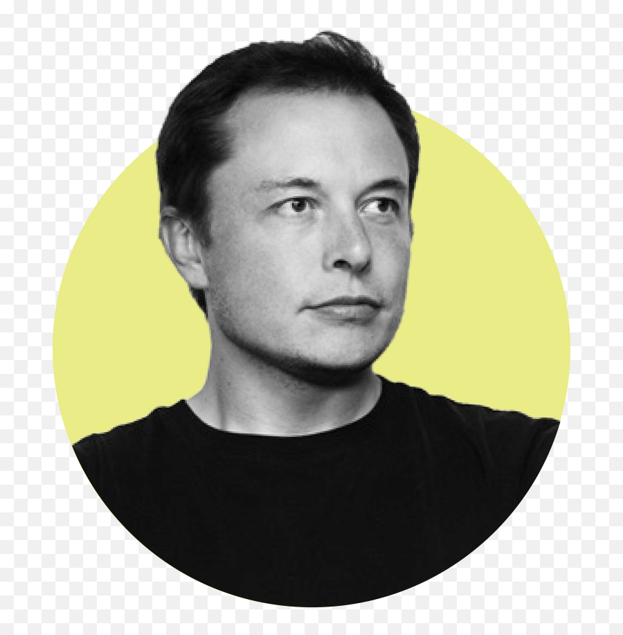 Elon musk peterson. Elon Musk transparent. Elon Musk Jew. Elon Musk PNG. Elon Musk PNG transparent.