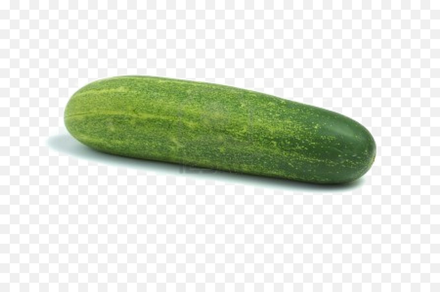 Single Cucumber Png Photo - Khera Vegetable Name In English,Cucumber Png