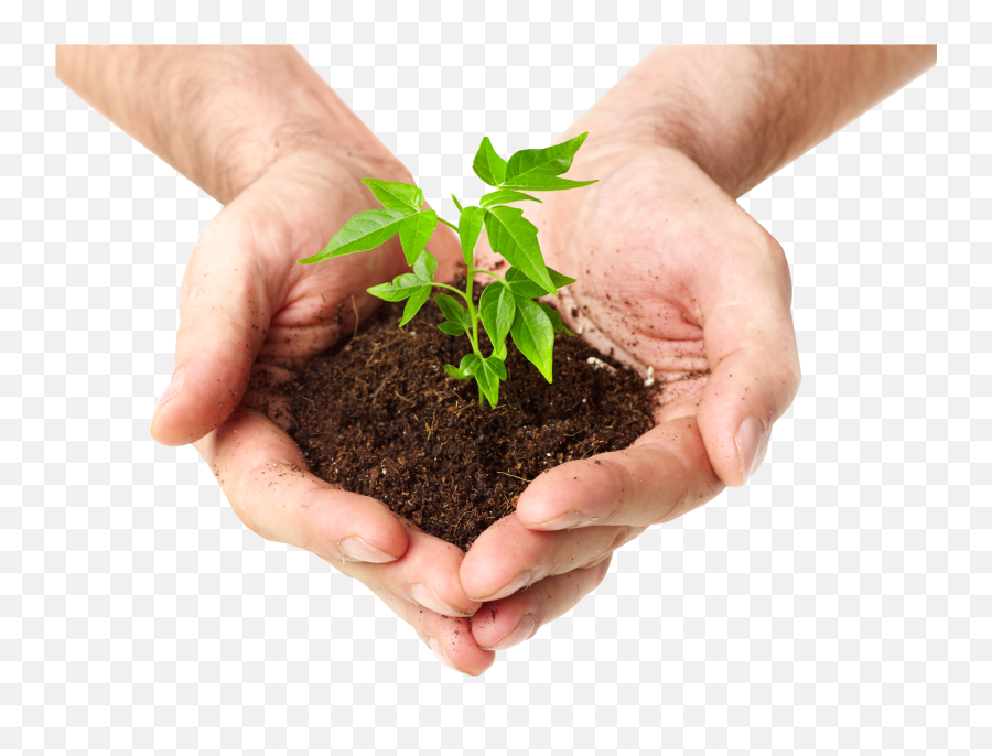 Soil Transparent Images - Transparent Plant In Hand Png,Soil Png