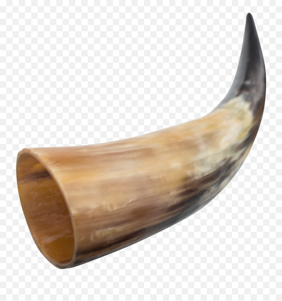 Viking Horn Png - Viking Horn Png,Horn Png