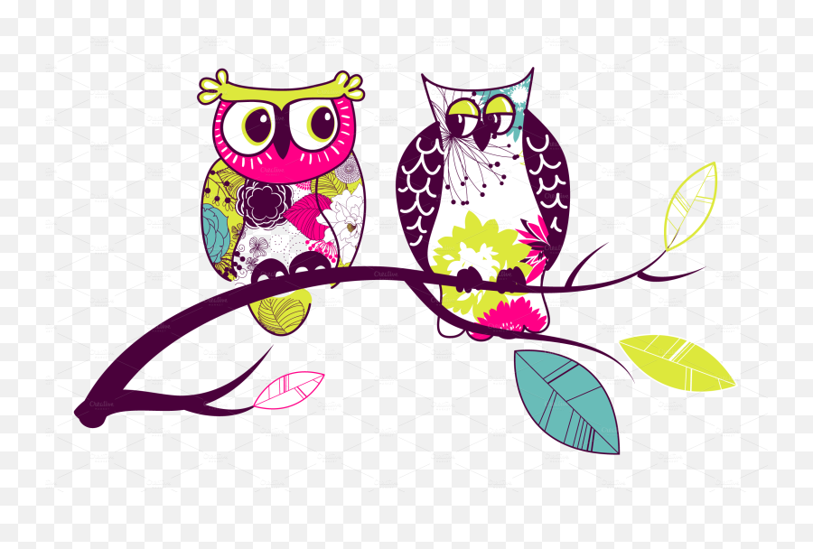 Download Crootu0027s 3rd Grade Class - Transparent Cute Owls Owls Png,Cute Owl Png