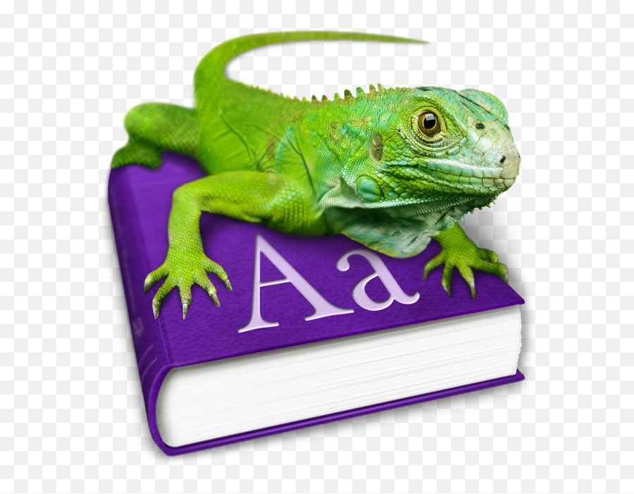 Design By A Friend Cocoanetics - Green Iguana Png,Lizard Icon