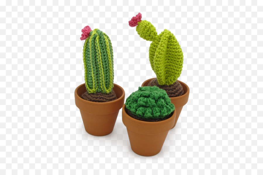 Crochet Kit Cacti - Hardicraft Hardicraft Cactus Png,Cacti Png