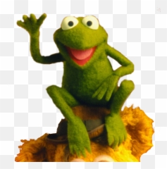 Weekly Muppet Wednesdays Robin The Frog Mindset - Muppets png