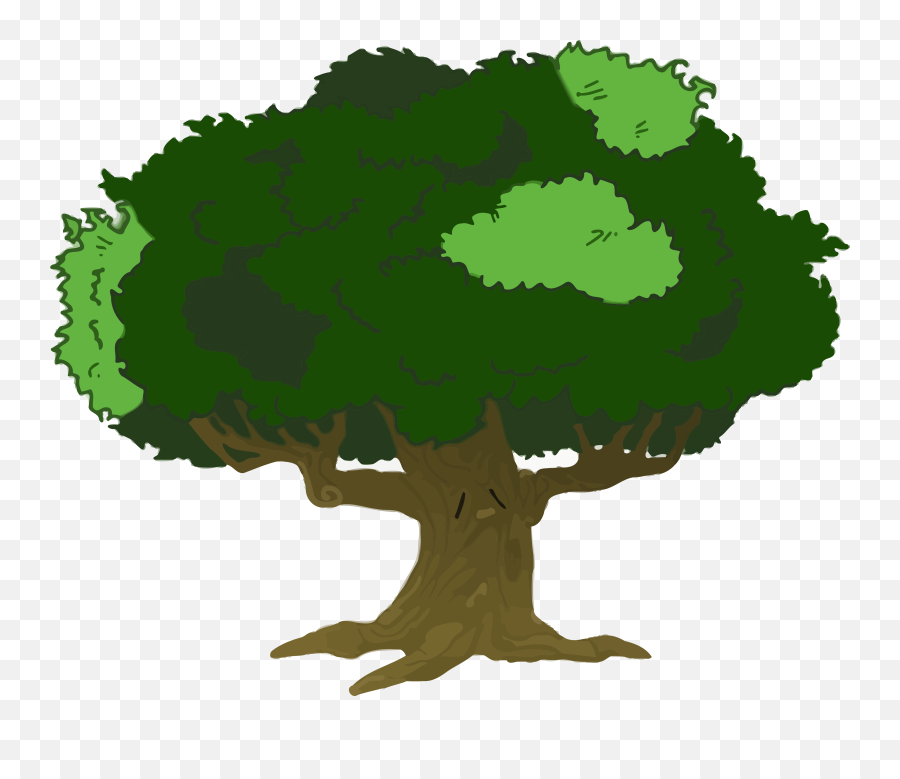 Clker - Cartoon Tree With Branches Png,Big Tree Png